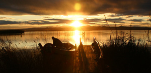 Sonnenuntergang in Albufera