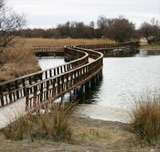 Naturschutzgebiet Tablas de Daimiel