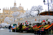 Segovia - Plaza Mayor und Kathedrale
